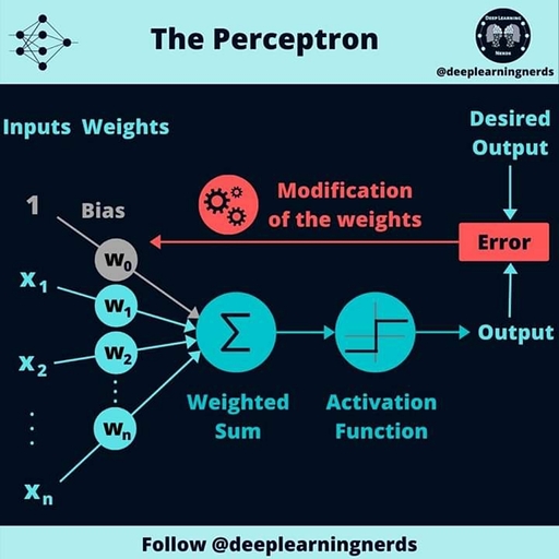 Suleiman Bashir Shamsudeen