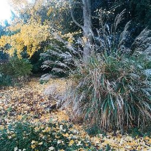 Frank Martin Mtumbuka