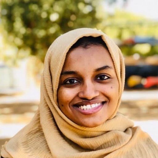 Amna Ahmed Elmustafa