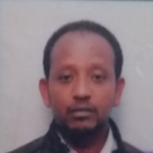 Birhaneselasie Abebe