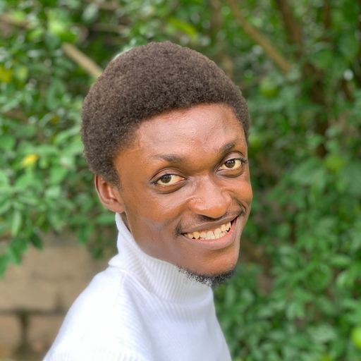 Onyekachi Raphael Ogbu