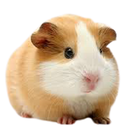 BrendenD'Souza-U04JC0N6ZC2