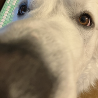 BricianBelizaire-U04JSD8TBK8