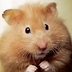 Profile photo for user 4