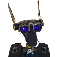 rayrumore