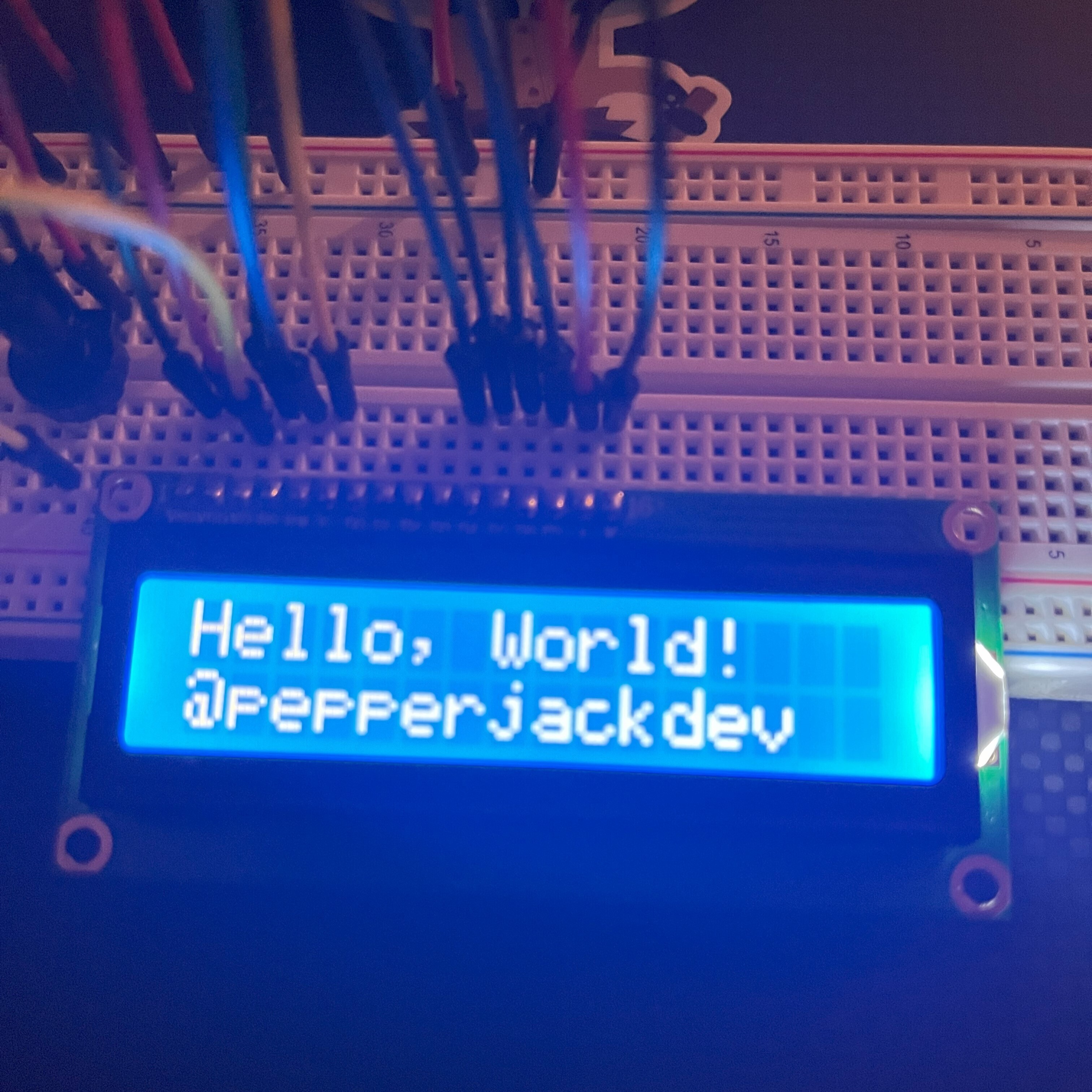 pepperjackdev