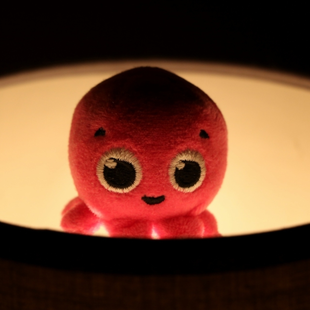 タコ