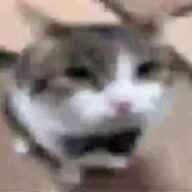 Samy's avatar