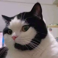 logabe's avatar
