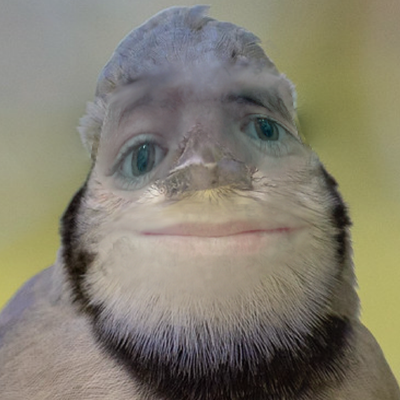 ZeusyBoy