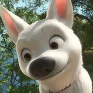 realBoltDev's avatar