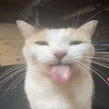 sam