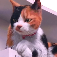 orangishcat's avatar