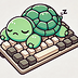 Turtle Key