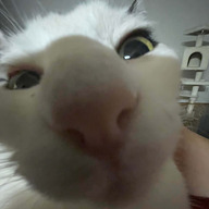 Las-Vejas's avatar