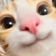 poofer
