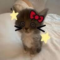 oreo's avatar