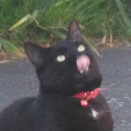 's avatar
