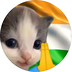 Pixel