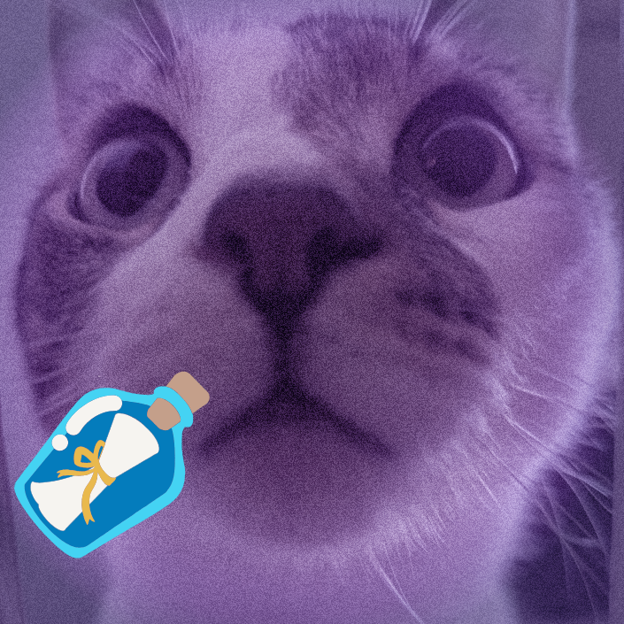 cattn
