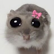 averm05's avatar