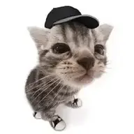 Kashyap Sukshavasi's avatar
