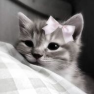 Ella2313's avatar
