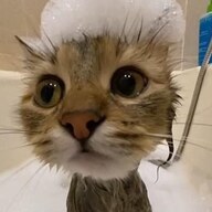 Bhanu's avatar