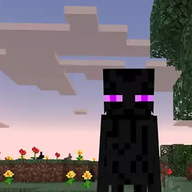 Enderman8843's avatar