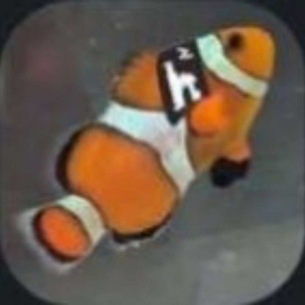 zakkbob