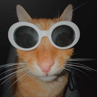 shush's avatar