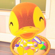 Yueqing Cai's avatar