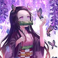 rokaya ELmekkawy's avatar