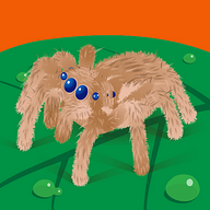 Anthony Mokhov's avatar