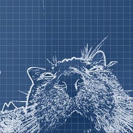 koeglike_arcadegithub's avatar