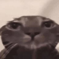 ahmadsajid21109's avatar