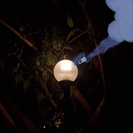 hiralsinghal's avatar