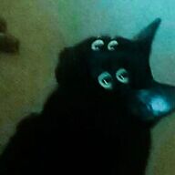 ooooonlyth3best's avatar