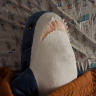 Joshua Cohen's avatar