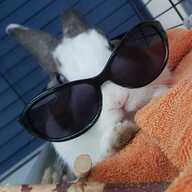 BooleanBunny14's avatar