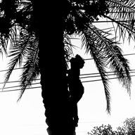 Mohammed Farag's avatar