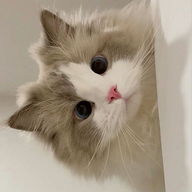 Ferboinkles's avatar