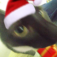 Bob the Builder's avatar