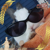 BooleanBunny14's avatar