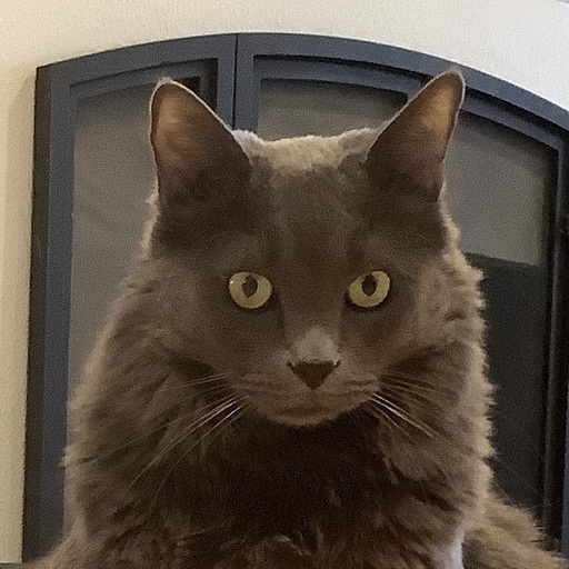 Simon