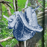 CamoKid
