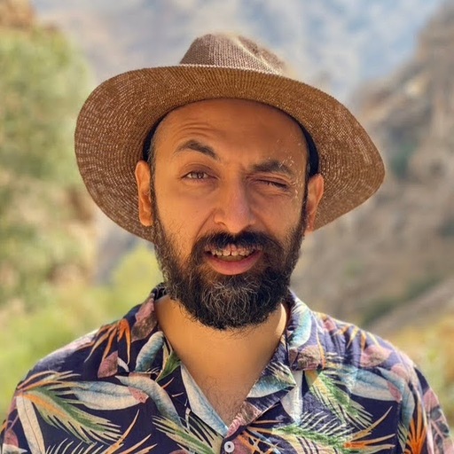 Hadi Farnoud