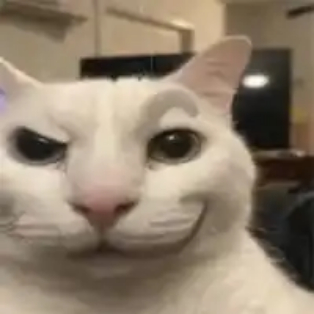 Cunning Cat