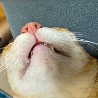 nok