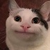 Profile photo for user 3